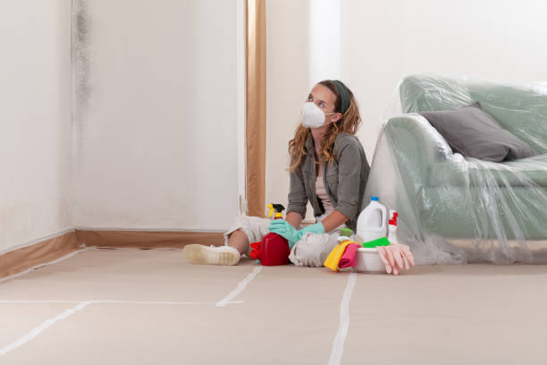 Reliable Black Mold Removal contractor in Fredericksburg, PA by WQB Mold Removal